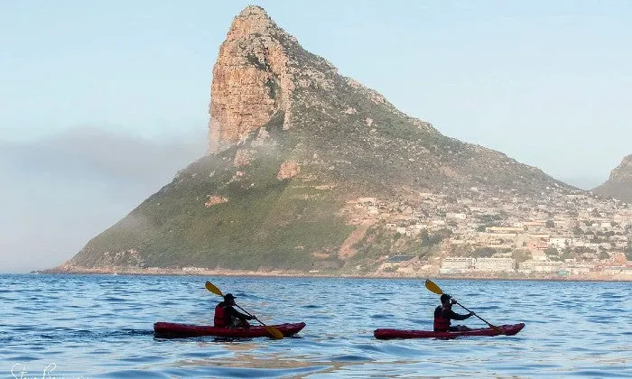 2-Hour Guided Kayak Tour with Animal Ocean Expeditions