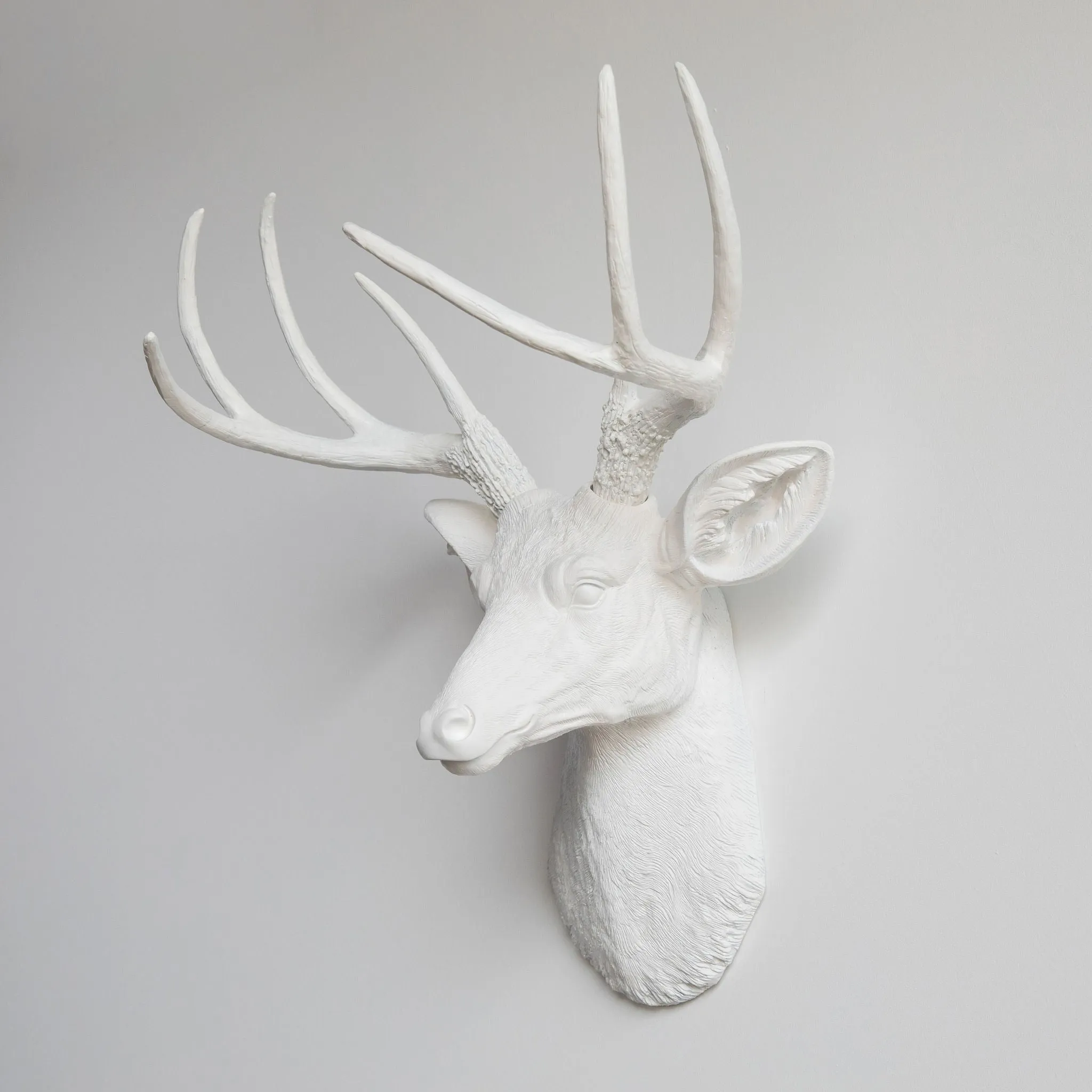 Faux Deer Wall Hanging